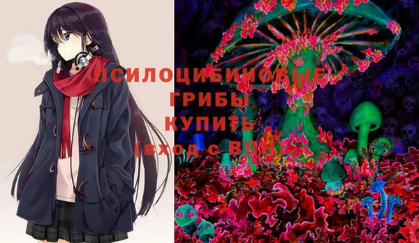 эйфоретик Козловка