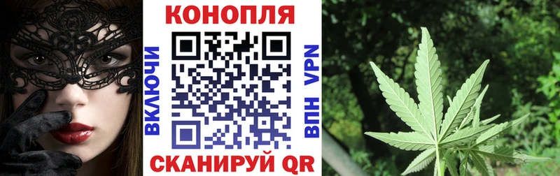 Шишки марихуана THC 21%  Купить где  Стародуб 